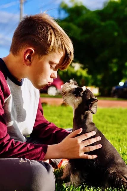 A boy kissing a miniature schnauzer puppy on the lawn