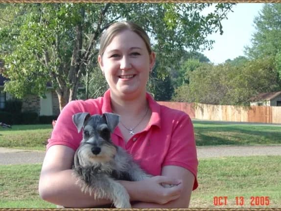 Miniature Schnauzer Puppies