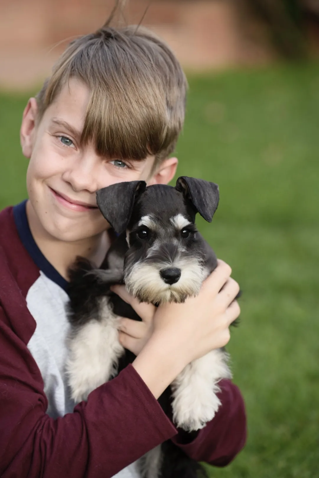 A boy hugging a black and silver miniature schnauzer puppy