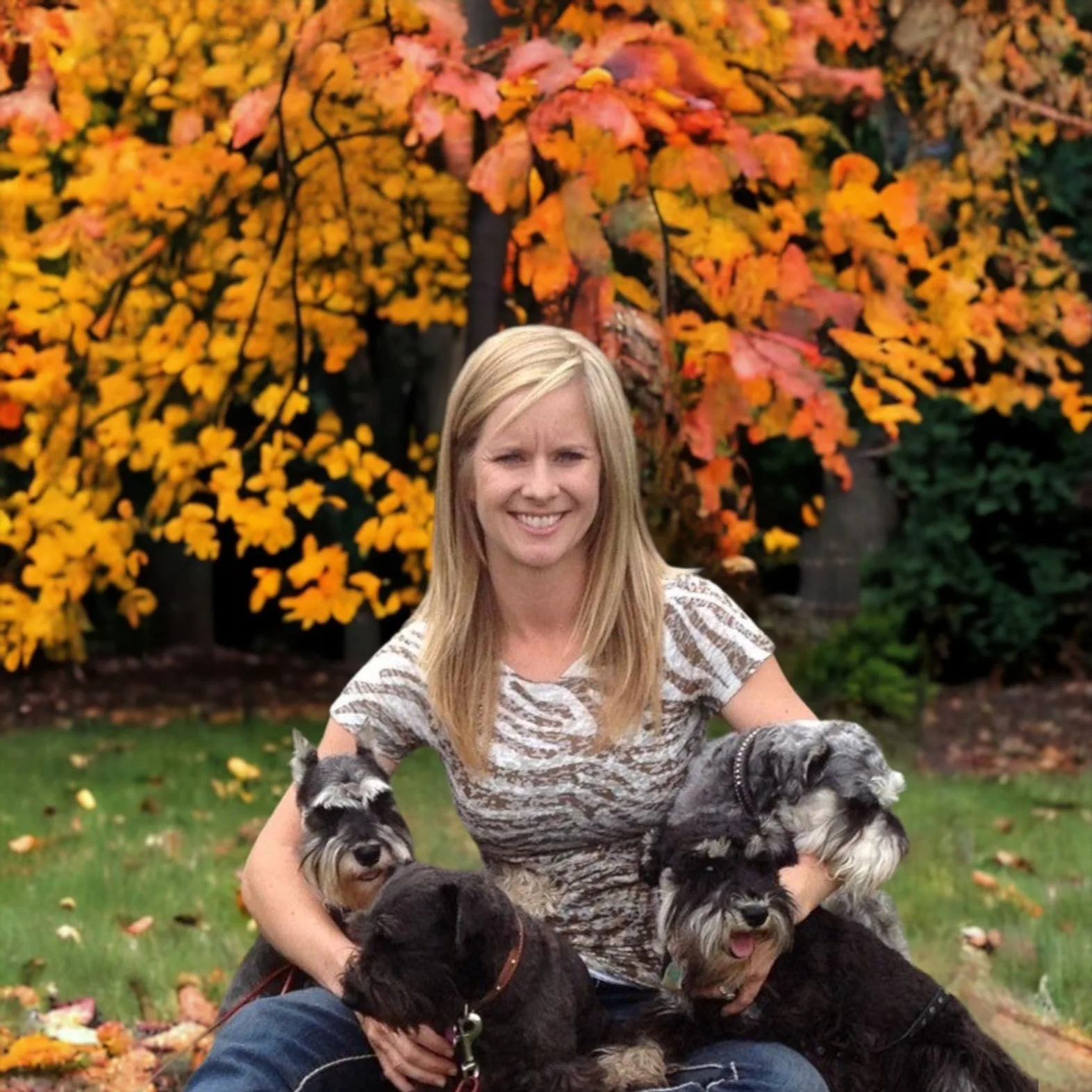 Laura of Snowflake Schnauzers with her miniature schnauzers in her lap