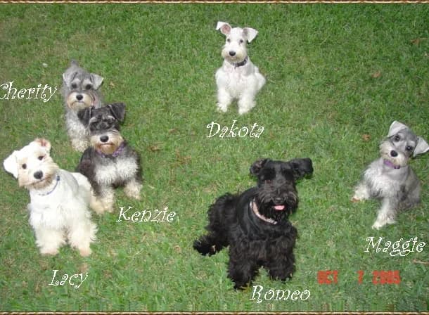 Group Picture With Names