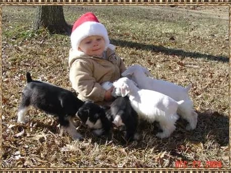 Kelton And Puppies
