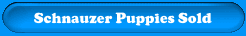 Puppies Sold